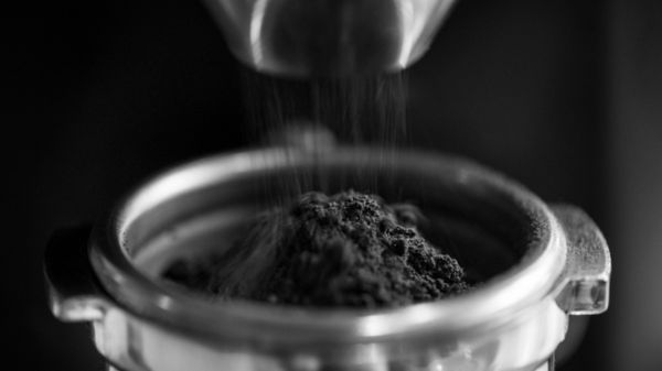 Black Mass Powder Exporter-Importer India